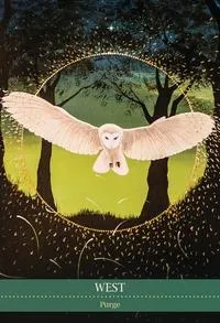 shamanic medicine kort engleshop