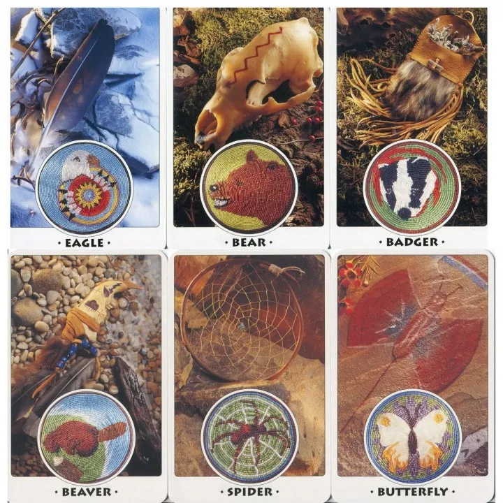 eks kort medicine wheel