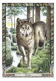 Eksempel på kort i kortstokken The druid Animal Oracle Deck
