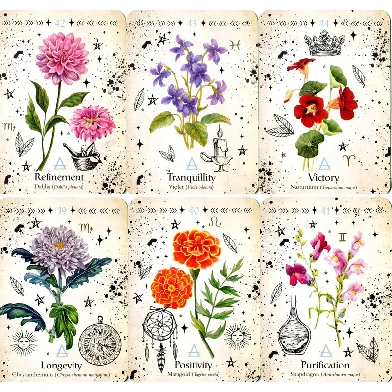 Orakelkort med inspirasjon fra blomster. Green Witch oracle cards