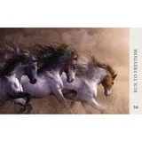 "Run To Freedom" kort i kortstokken Horse Wisdom