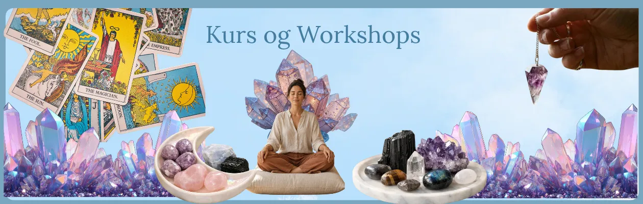 Kurs og Workshops hos Engleshop